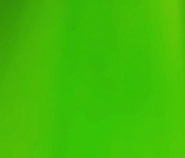 T-724 Apple L Green