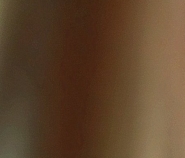T Dark Brown 88