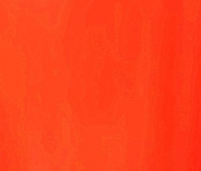 T-Oren11